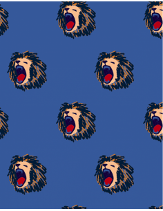 Trousse Double Les Lions 2