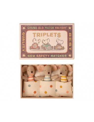Bébés souris triplets dans leur boîte