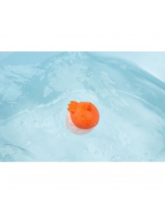 Eclabousse Paulette 2