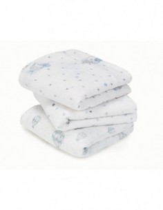 Petit-Lange Night Sky - LOT... 2