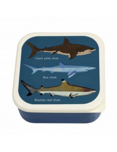 Rex London Boites à... 2