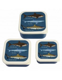 Rex London Boites à...