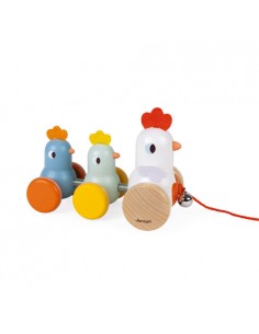 Poule et Poussins à promener
