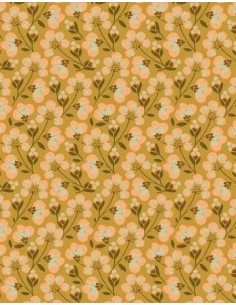 Poussette Astronomia 2