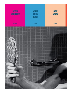 Livre - Plus Bebel La Vie 2