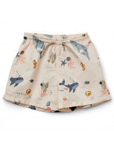 Short de bain Duke Board Sea