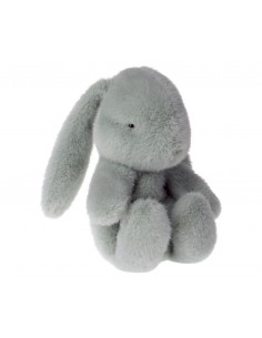 Lapin Aqua dans son oeuf