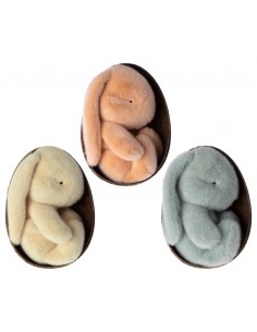 Lapin Orange dans son oeuf 2