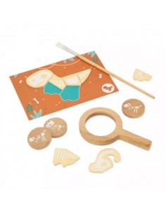 Jeu de Fouille Dino 2