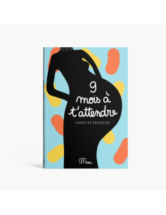 9 mois à t'attendre -...