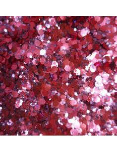 Paillettes Diva du Dancing 2