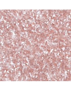 Paillettes Pure Rose Moyennes 2