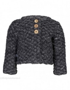 Cardigan gris Ferdi laine...