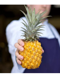 Rhum Arrangé : Ananas... 2