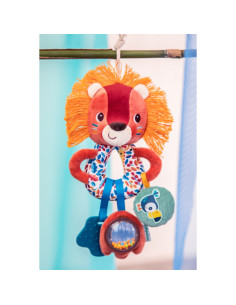 Anneaux multi activités... 2