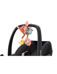 Lilliputiens Acti-nomade... 2