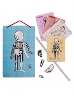 Le Corps Humain Magnétique