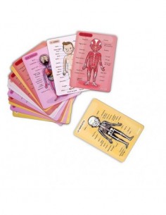 Le Corps Humain Magnétique 2