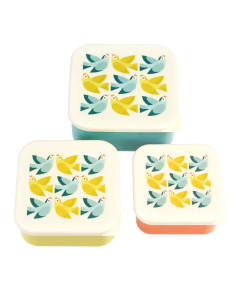 Rex London Boîtes à...