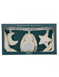 Chaîne d'activités Lapinoo... 2