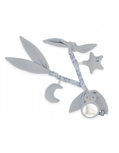 Chaîne d\'activités Lapinoo...