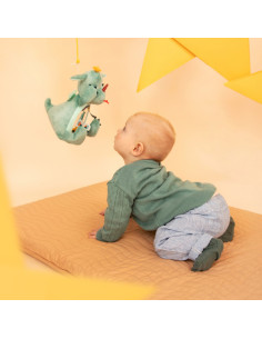 Coucou miroir Joe le dragon 2