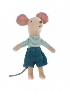 Souris,le petit frère en box 2