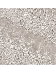 Granité Nettoyant Visage 90ml 2