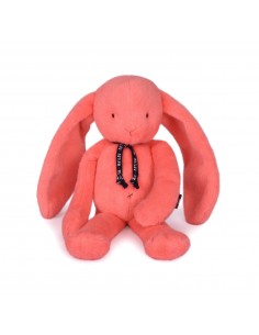 Lapin Méloé – Corail...