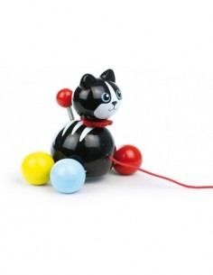 Minou le chat à trainer