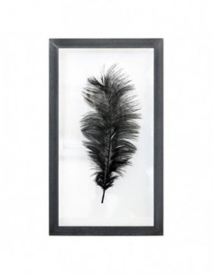 Cadre Plume Autruche