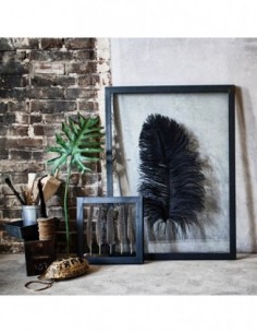 Cadre Plume Autruche 2