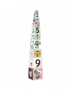 Cubes Gigognes les animaux Michelle Carlslund
