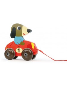 Alberto le chien à trainer 2