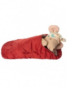 Souris Randonneuse , Grande...