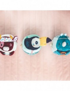 Pablo Toucan découvertes 2