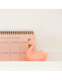 Flow Amsterdam Dame Blanche... 2